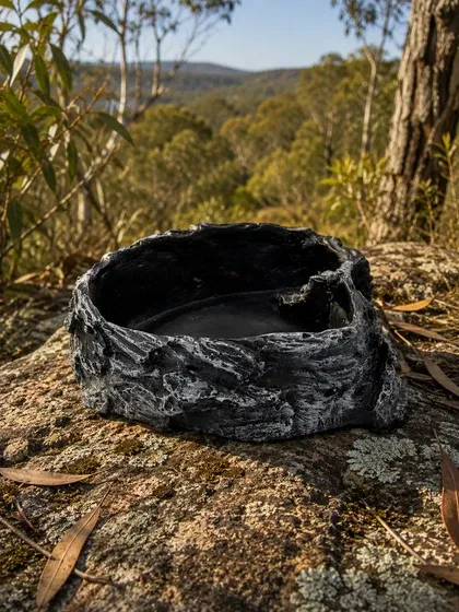 Reptile Water Bowl Collection Image Reptile Water Bowls Bush bg