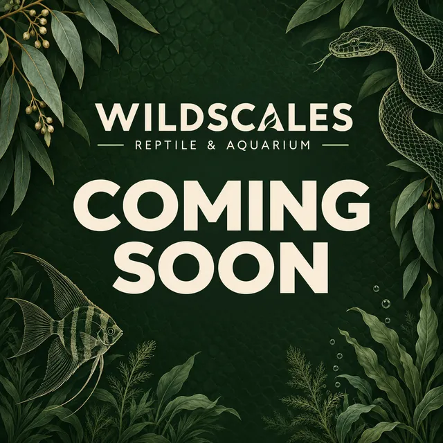 Coming Soon Placeholder Snake Catching Gear Coming Soon Placeholder